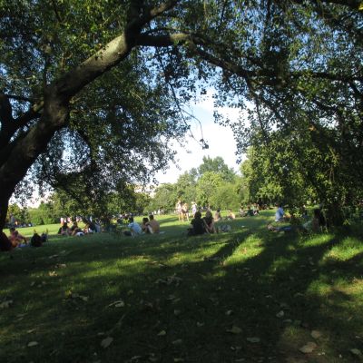 A park in which multiple couples are seen sitting together at various points. There are two big trees on each side, casting shadows on the same-sex couple sitting in the very centre with their backs turned.