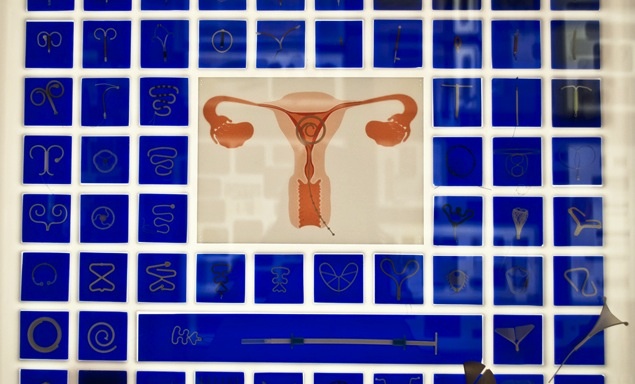 A diagram of the female reproductive organs against a blue backdrop