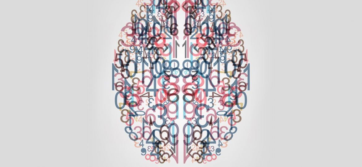 A rough illustration of the human brain