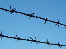 Picture of black barbed wire against the backdrop of a clear blue sky