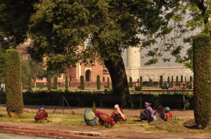 Against the backdrop of the Taj Mahal, a field with trees and birds