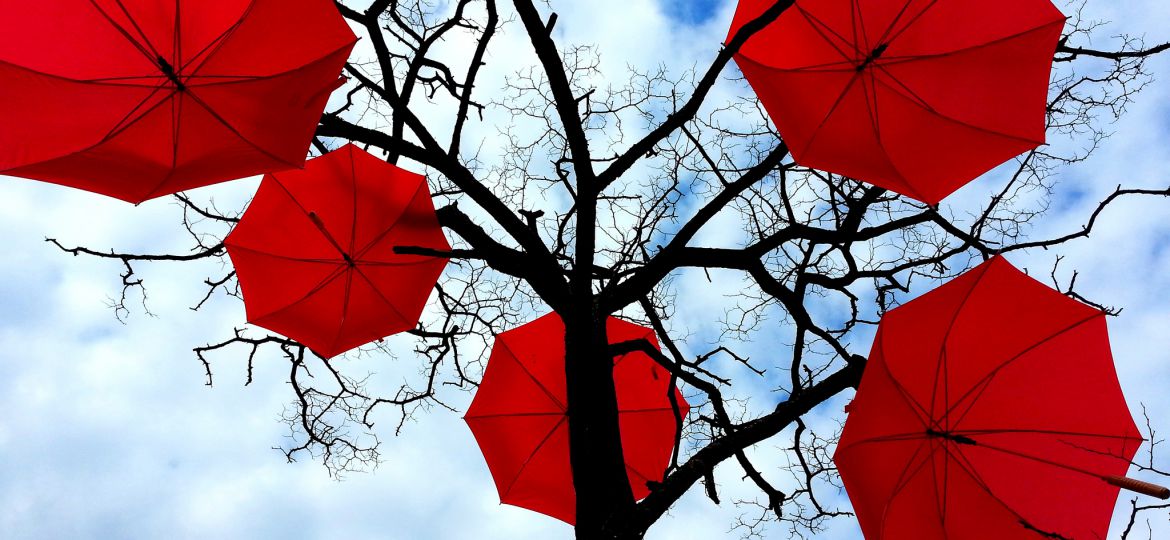 A leafless tree with red umbrellas hung on its branches.