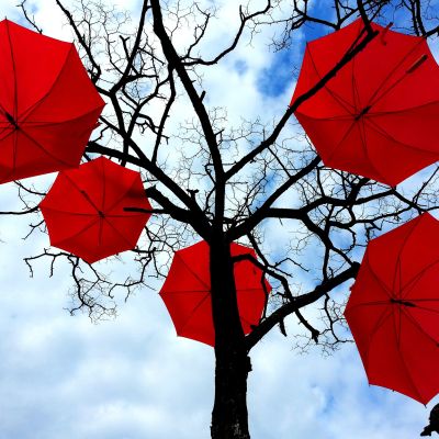 A leafless tree with red umbrellas hung on its branches.