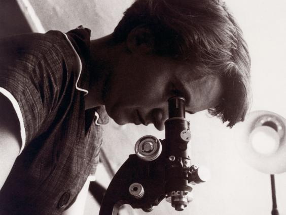 Rosalind Franklin - one of the world's most high-profile neglected women scientists.
