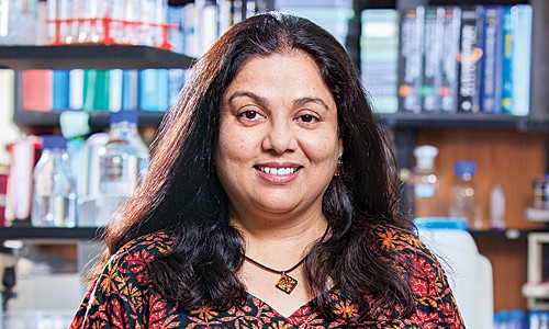 Shubha Tole, Indian neuroscientist, Professor and Principal Investigator at the Tata Institute of Fundamental Research in Mumbai, India, in lab, talking about women in science careers.