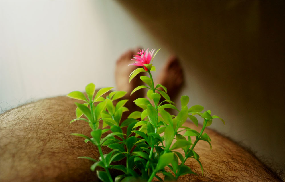 Personal portraits: Toys