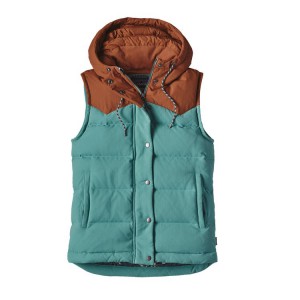 Functional clothing: Vest from Patagonia (patagonia.com)