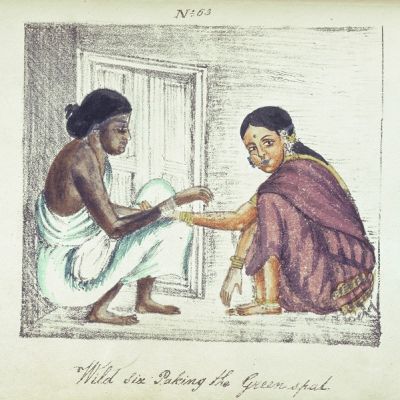 Painting showing caste differences. Two women squatting, facing each other. One wears a plain white simple saree without a blouse, and has a darker complexion. The other, of fairer complexion, wears a shiny purple saree with blouse, and a big nose ring. Below in cursive is written, "wild six paking the greenspad".