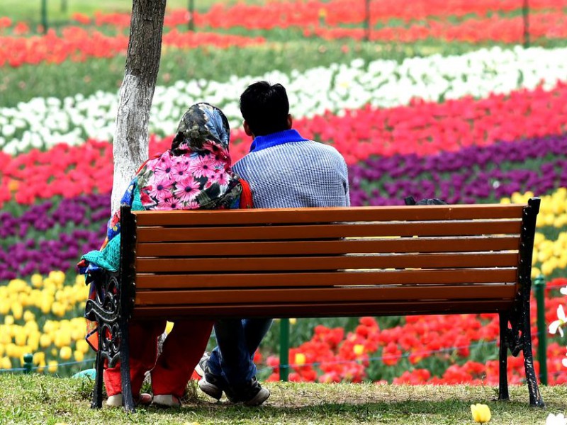 A young (Kashmiri) couple sitting on a bench facing backwards, looking at the garden.