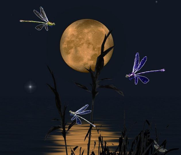 Painting of a golden moon on a dark night. The moon's light reflects in water below, and a few insects of glittery blue colour are flying around.