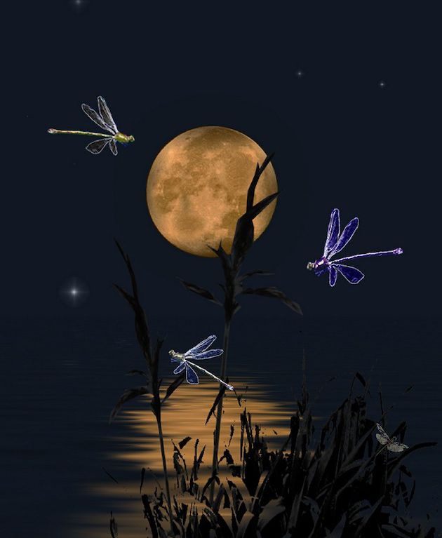 Painting of a golden moon on a dark night. The moon's light reflects in water below, and a few insects of glittery blue colour are flying around.