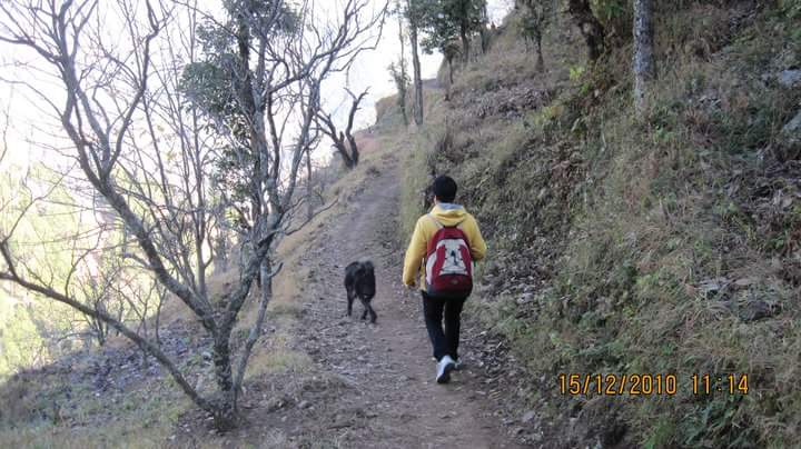 Girl in a sporty attire walking on an unmetalled road up a hill. A black dog walks a little ahead of her.