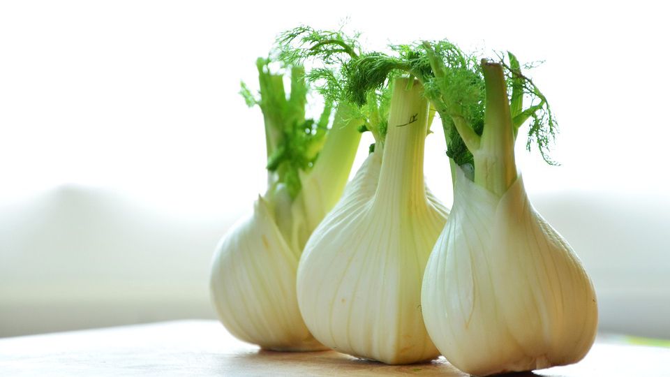 The queer muslim experience, symbolised by a picture of three pieces of fennel, kept one beside each other. they have a light green bulbous body and dark green leaves emerging from the stem.