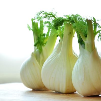 The queer muslim experience, symbolised by a picture of three pieces of fennel, kept one beside each other. they have a light green bulbous body and dark green leaves emerging from the stem.