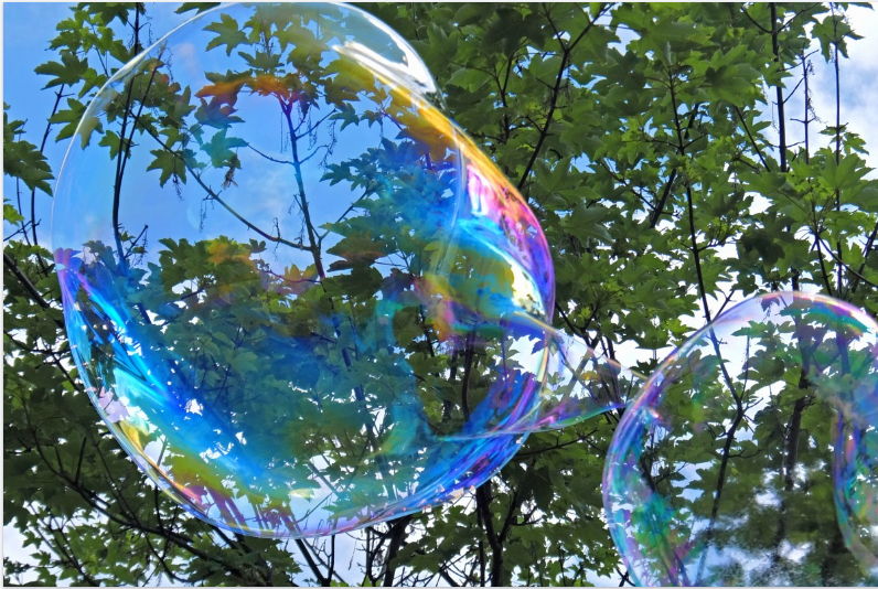 Picture of a large bubble against the backdrop of a clear sky and trees