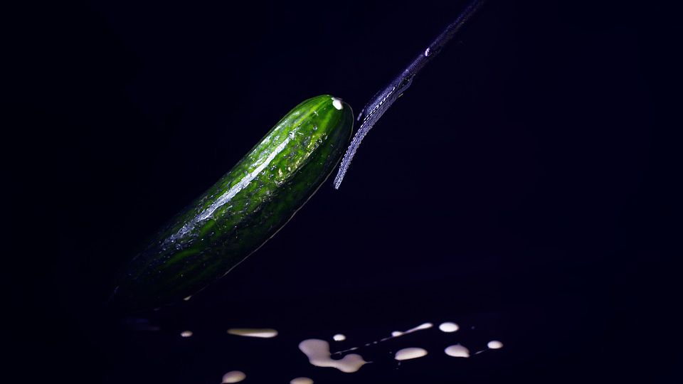 A cucumber, a phallic symbol