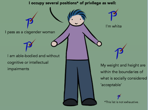 excerpt from webcomic on privilege