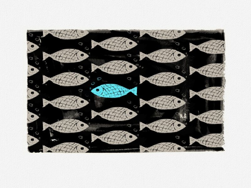 wallpaper pattern showing fishes where one fish is highlighted