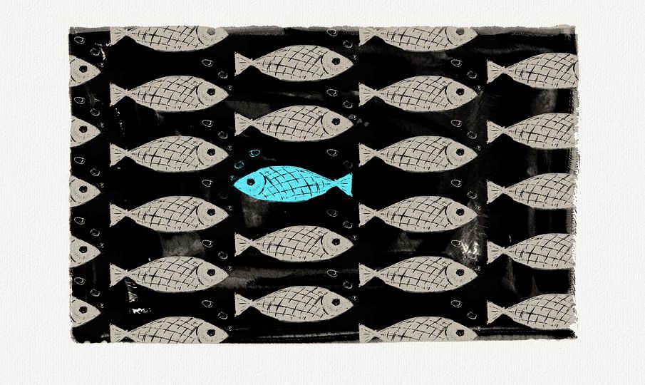 wallpaper pattern showing fishes where one fish is highlighted