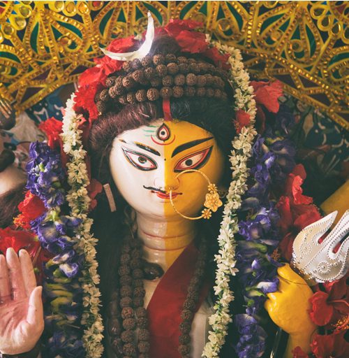 The Ardhanarishwara replacing Goddess Durga