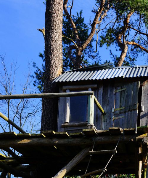Picture of a treehouse