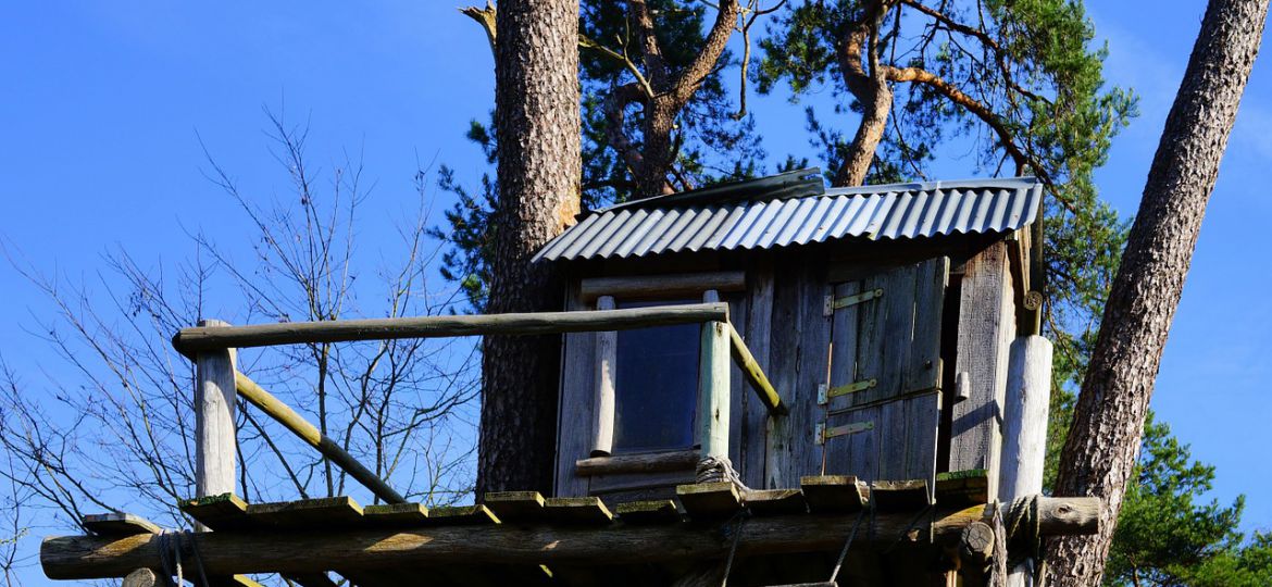 Picture of a treehouse