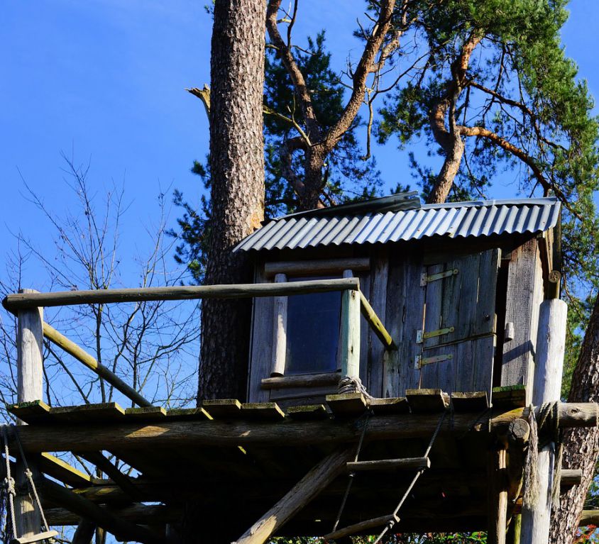 Picture of a treehouse