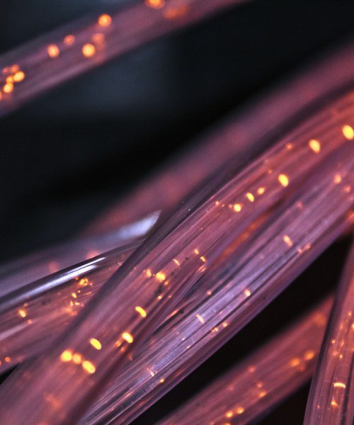 An image of purple fibre cables