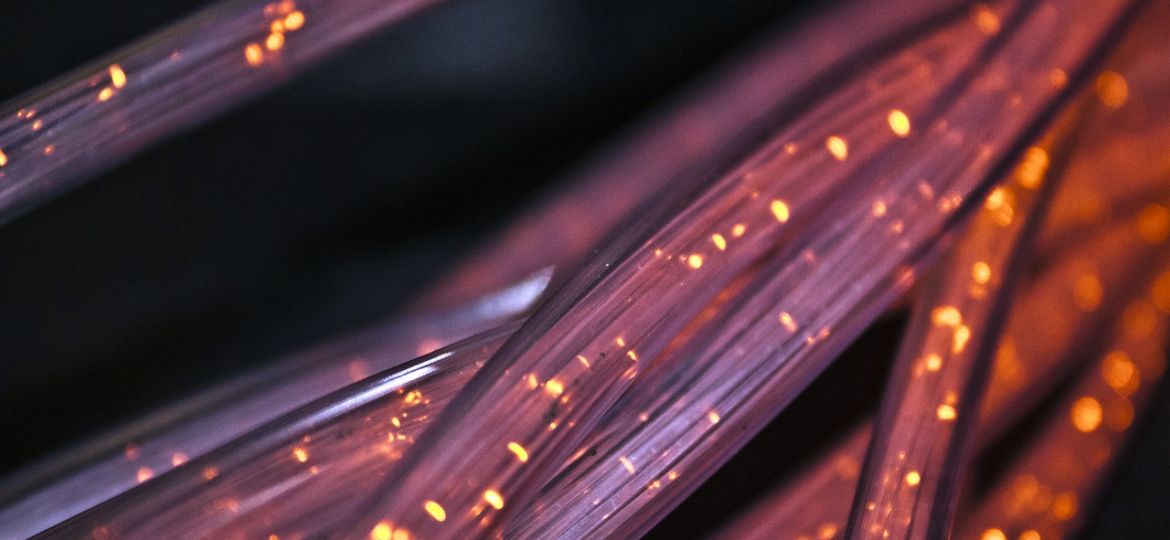 An image of purple fibre cables