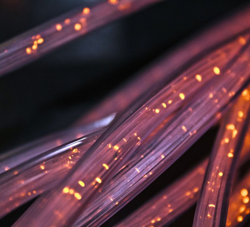 An image of purple fibre cables