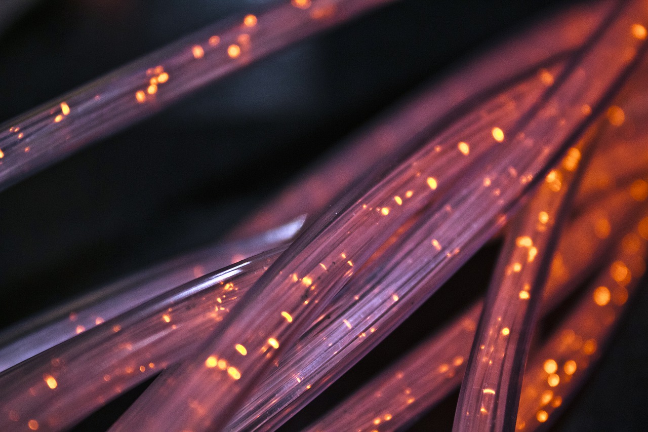 An image of purple fibre cables