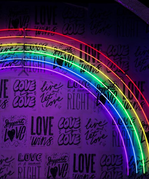 An image of a wallpaper with stickers that says “Love Wins”, “Love is love” “Love is a Human Right” and “Support Love”. There are six thin lines in the form of a rainbow with pride colours
