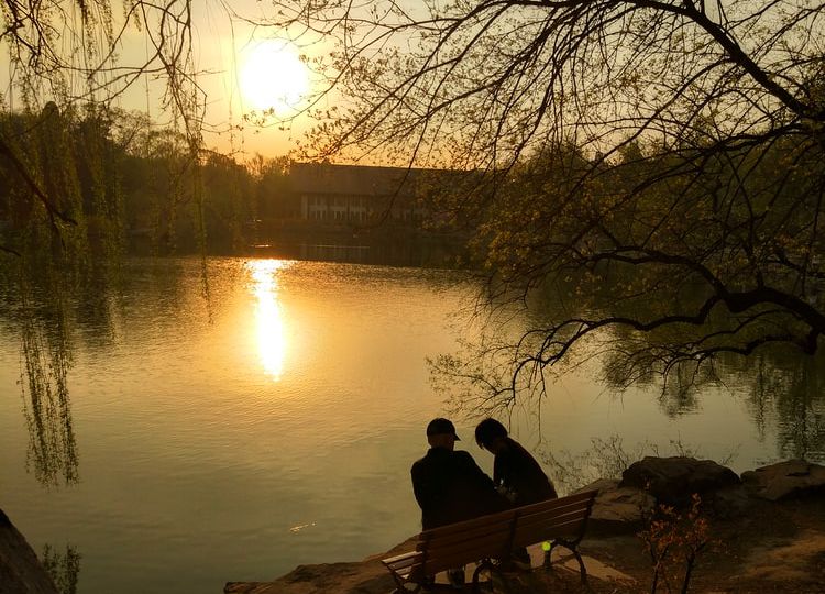 In the image, two people are sitting on a bench near a lake. The Sun is shining brightly and its reflection can be seen on the lake. A white and red coloured house can also be seen