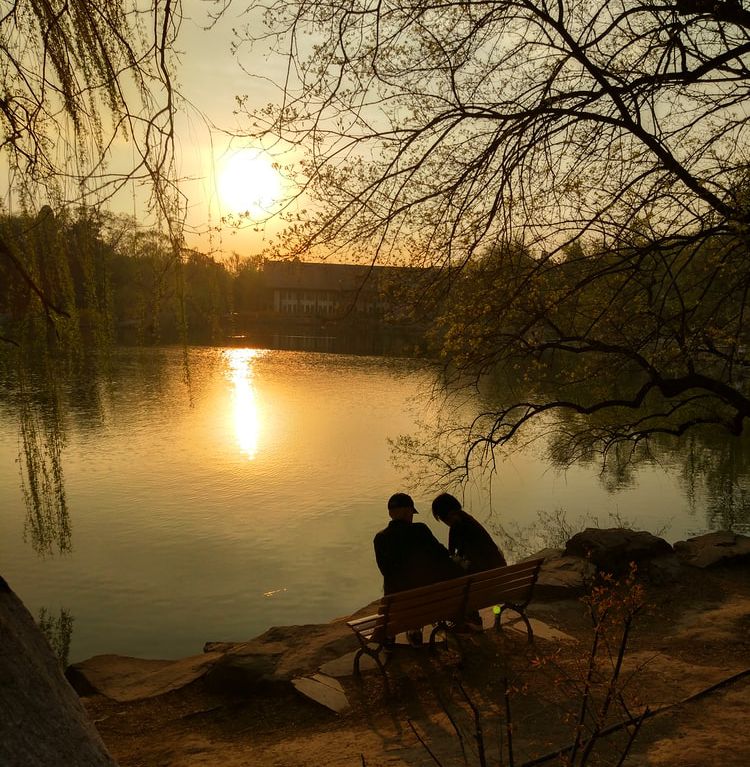 In the image, two people are sitting on a bench near a lake. The Sun is shining brightly and its reflection can be seen on the lake. A white and red coloured house can also be seen