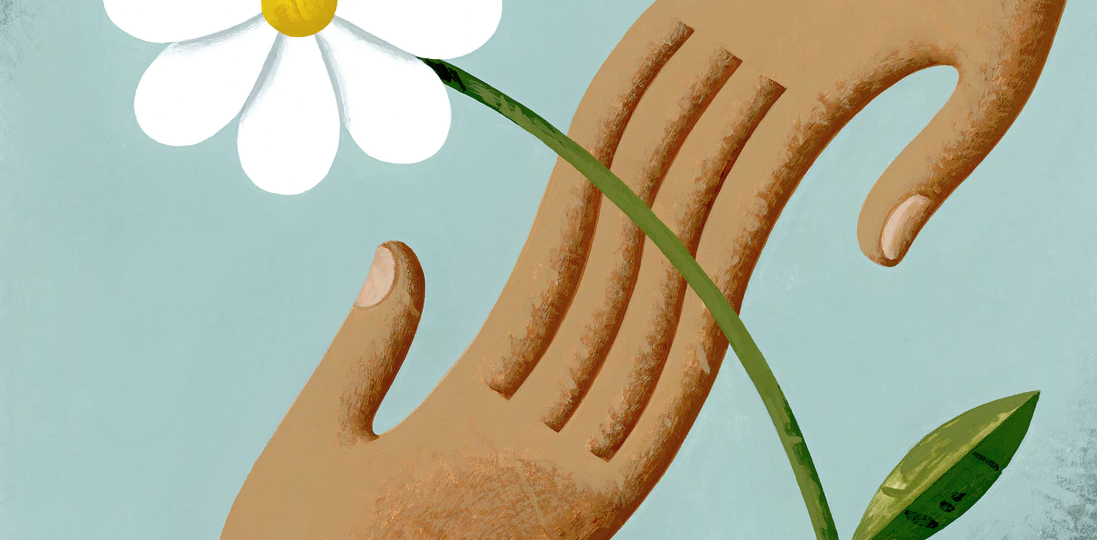 Picture of a white flower on a blue background. Two hands can be seen touching each other behind the flower