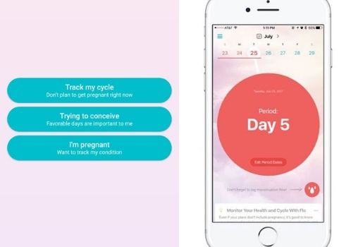 A graphic design. A white iPhone on the right and a pink screen-like background on the left. On the iPhone display, a big red dot saying 'Day 5' in white text and a calendar at the top. On the left, there are three blue chat bubbles with white text. The first says, 'Track my cycle' and under it, 'Don't plan to get pregnant right now'. The second bubble says, 'Trying to conceive' and under it 'Favourable days are important to me' and the third says, 'I'm pregnant' and under it, 'Want to track my condition'.