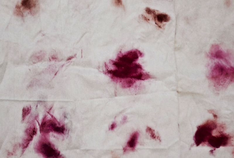 A photograph of a white bedsheet with blots of maroon-burgundy lipstick stains smudged across it.