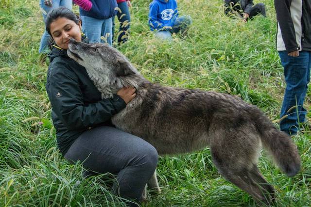 A photograph of MHI director Raj Mariwala; she is playing with a grey-brown dog, squatting in grass.