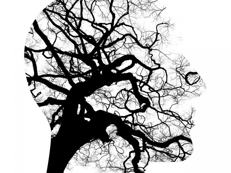 A graphic illustration with a black, inky tree with branches outlined by a silhouette of a face.