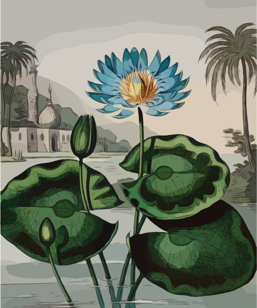 An illustration of a blue flower. The tips of its petals are dark blue and lighten as they meet at the yellow-brown centre. A long spindly green stem supports the flower and has three dark and light green round leaves and a dark green bud.. Behind it, on a grey-blue background is a cityscape dotted with buildings and palm trees with muted colour and grey overtones.