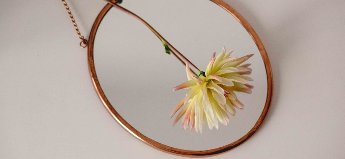 An image of a vintage-style round mirror with brown frame and a pink-white dahlia with stem lying on the mirror