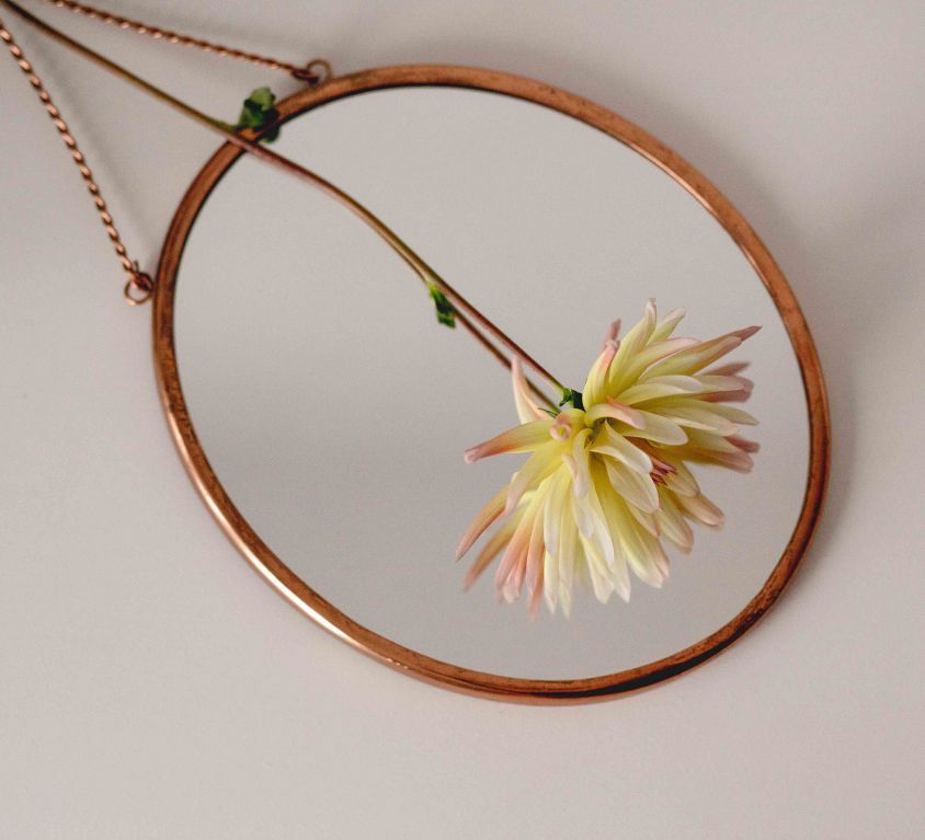 An image of a vintage-style round mirror with brown frame and a pink-white dahlia with stem lying on the mirror