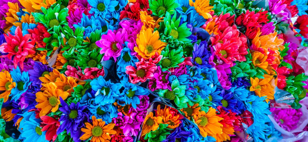 A photograph of multi-coloured flower bouquets.
