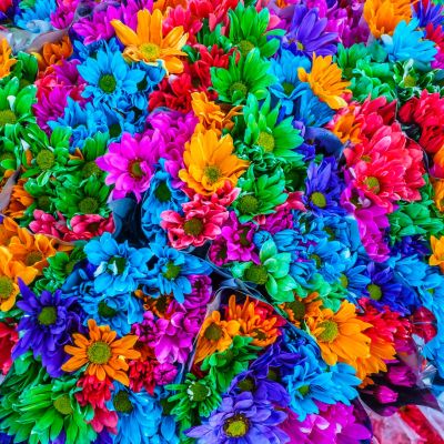 A photograph of multi-coloured flower bouquets.
