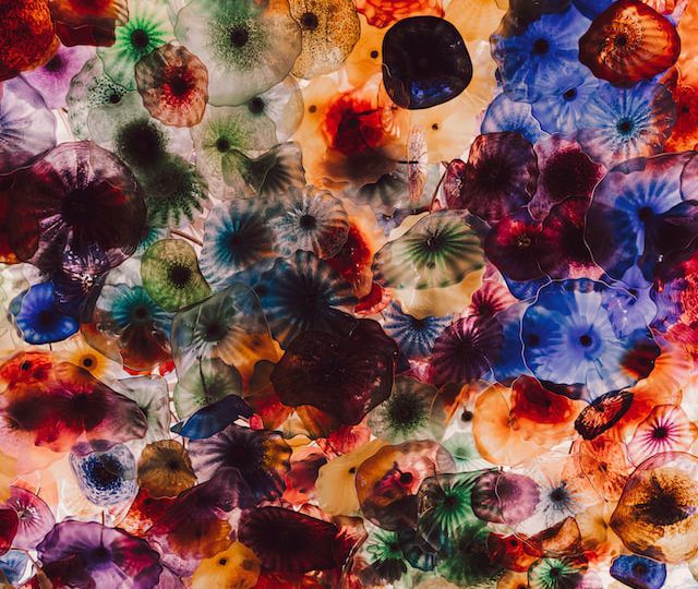 hundreds of jellyfish of diverse colours - orange, blue, pink, white, green, and more.
