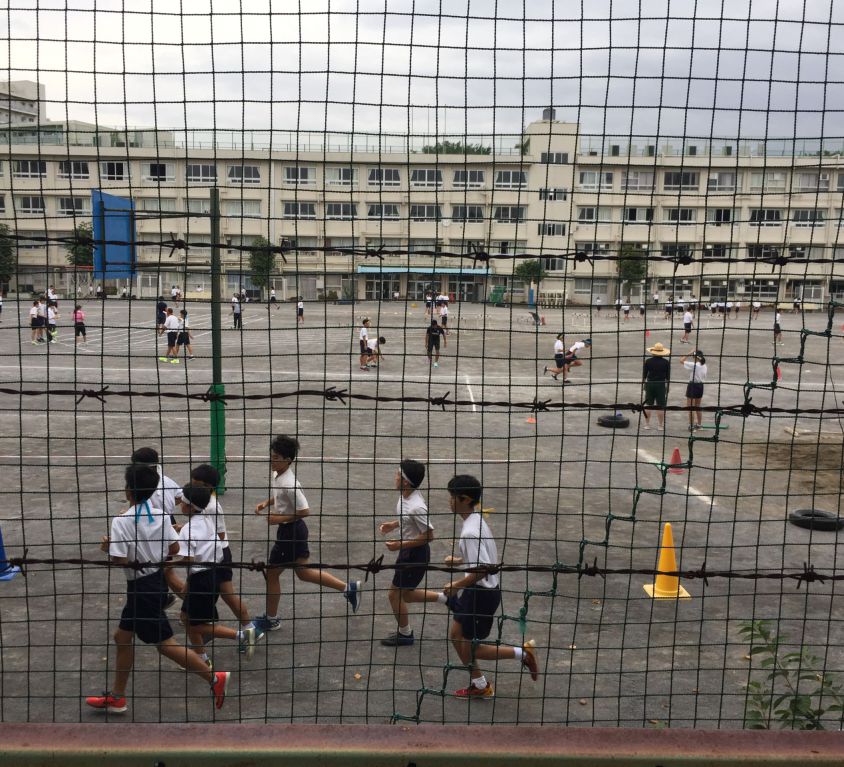 School kids going about their day, running, and having fun in groups on the big school playground as witnessed through a net.