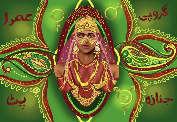 An illustration of a feminine-presenting person wearing ornate headgear, jewellery and drapped in a pink veil. The person is positioned against a green background. A four-directional peacock design acts as a frame around the person. Inside the frame are the symbols for male, female and intersex. Along the four corners, the following words are written in red in Hijra Farsi: initiation, singing, clapping and death. 