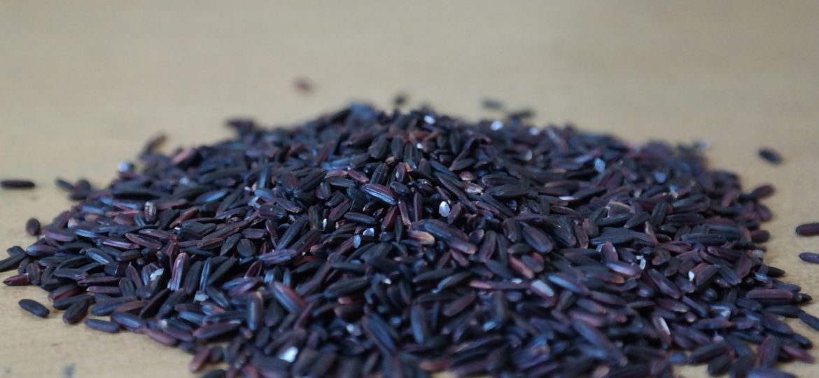 A small pile of black rice or Oriza sativa used to make Kavuni Arisi halwa