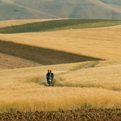 A still from the film The wind will carry us. The image is of a yellow field landscape with hills at the background and a motor bike in the centre