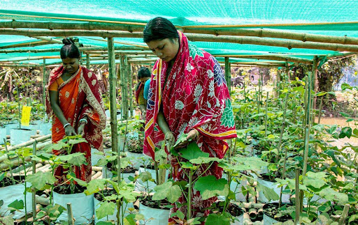 Two women tending to a farm in a greenhouse